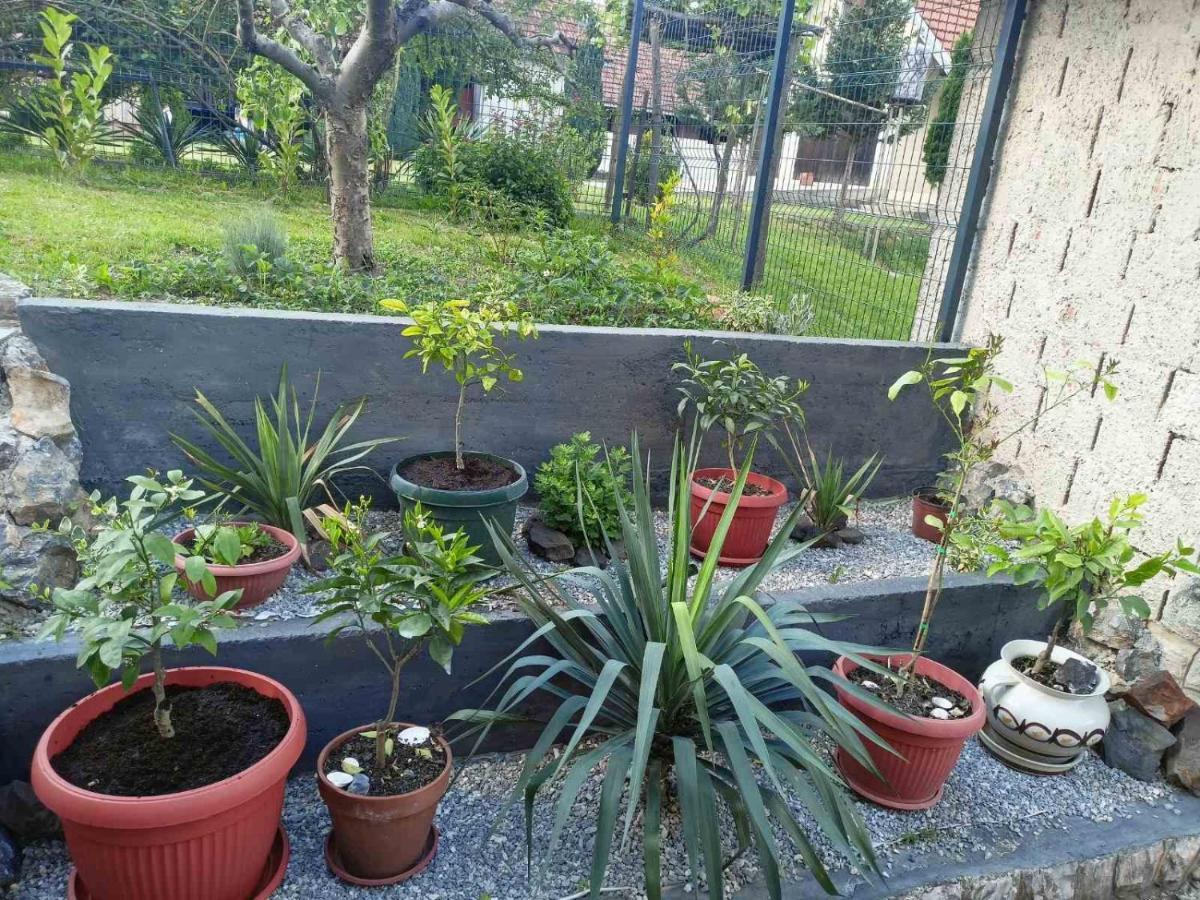 Apartman Excluziv Prijedor Extérieur photo
